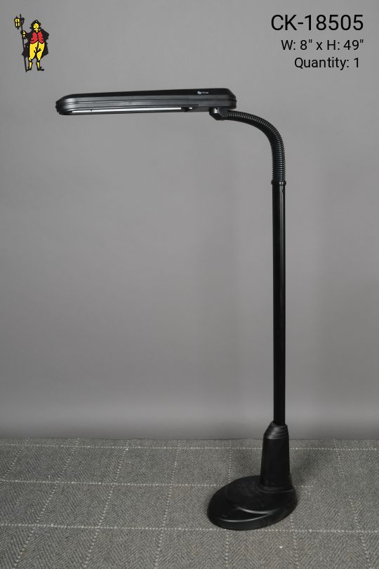 Black Modern Gooseneck Reading Floor Lamp
