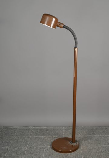 Brown Gooseneck Post Modern Floor Lamp