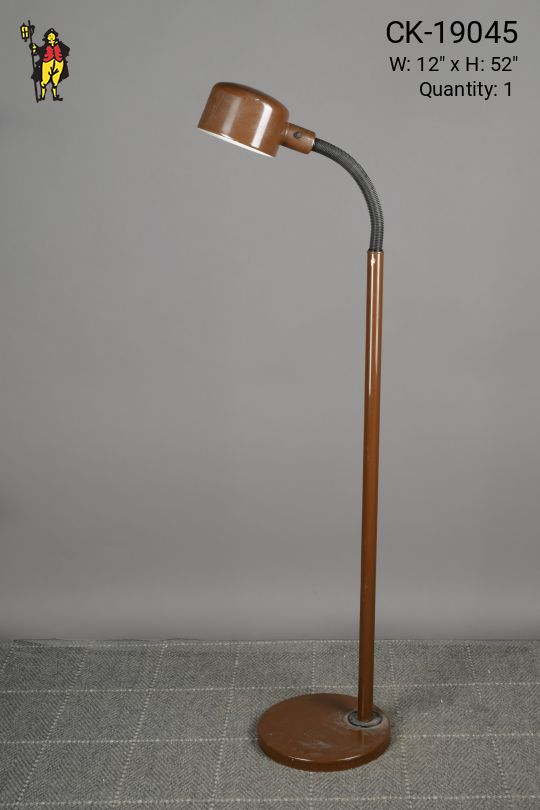 Brown Gooseneck Post Modern Floor Lamp