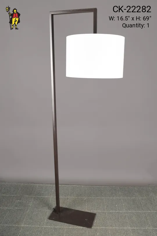 Modern Bronze Reading Floor Lamp