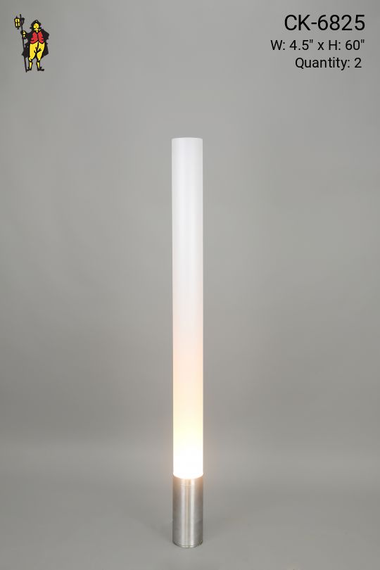 Contemporary 60" Floor Lamp