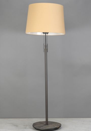 Modern Bronze Finished Floor Lamp