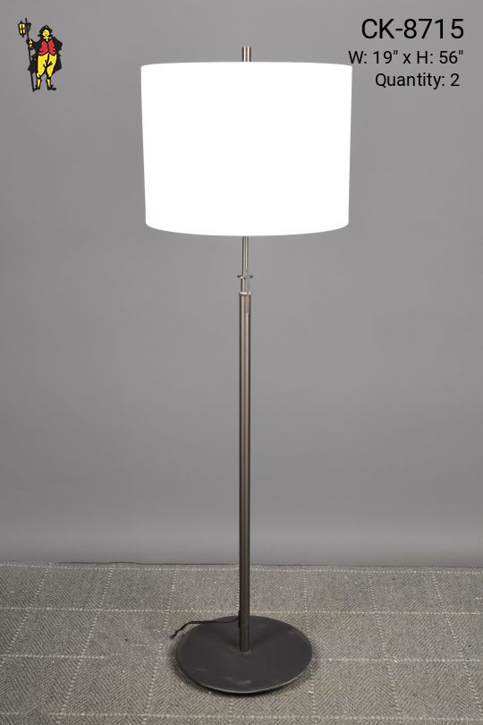 Bronze Finished Floor Lamp