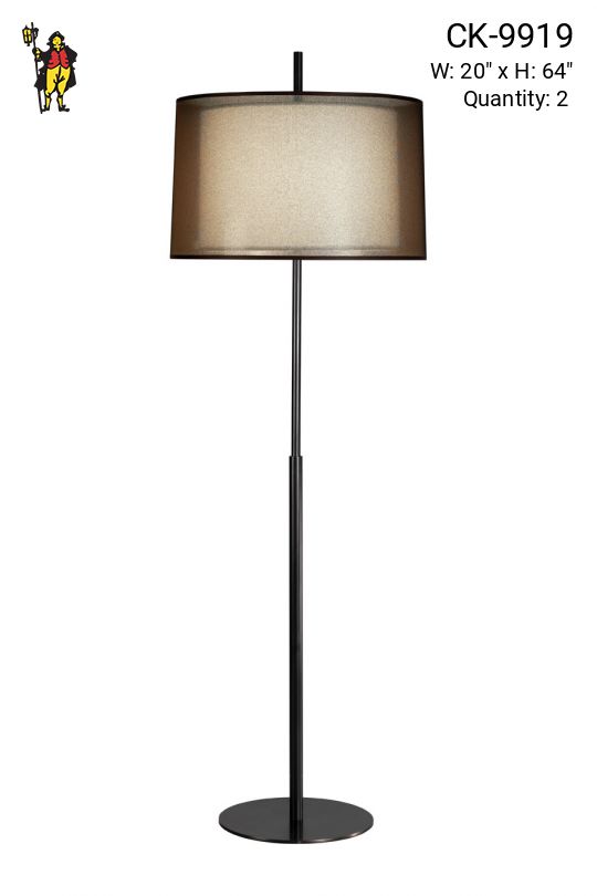 Contemporary Bronze Floor Lamp