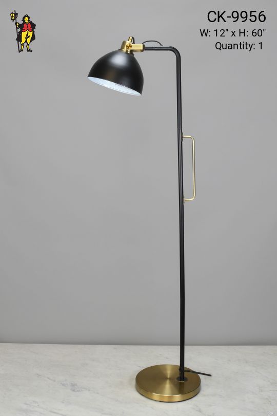 Black & Brass Directional Floor Lamp
