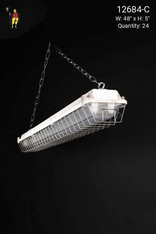 4' Vapor Proof Fluorescent Fixture w/Lens & Cage (Available as Hanging or Flush Mount)