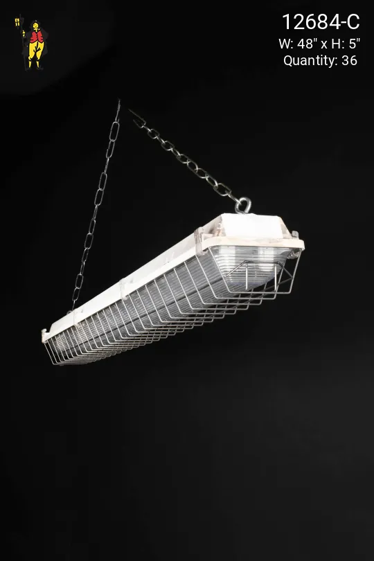 4' Vapor Proof Fluorescent Fixture w/Lens & Cage (Available as Hanging or Flush Mount)