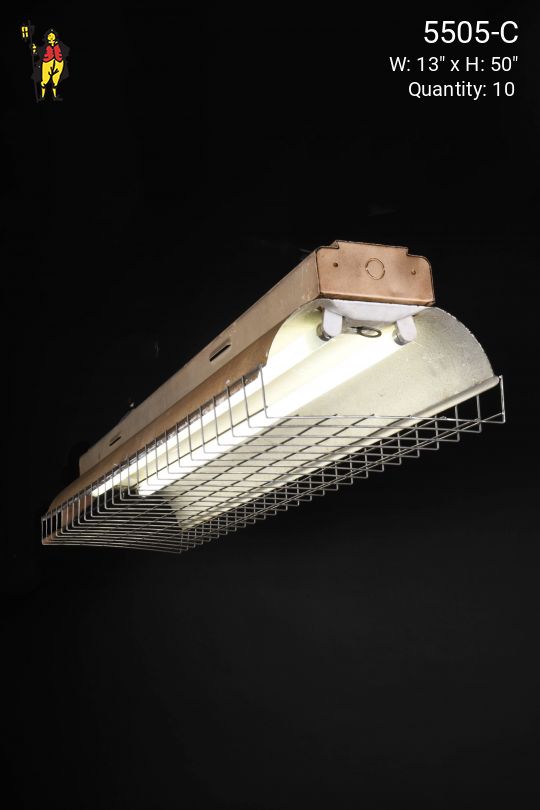 4' Two Bulb Hanging Warehouse Fluorescent Fixture w/Cage (Available as Hanging or Flush Mount)
