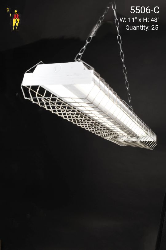 4' Two Bulb Wrap Around Cage Fluorescent (Available as Hanging or Flush Mount)