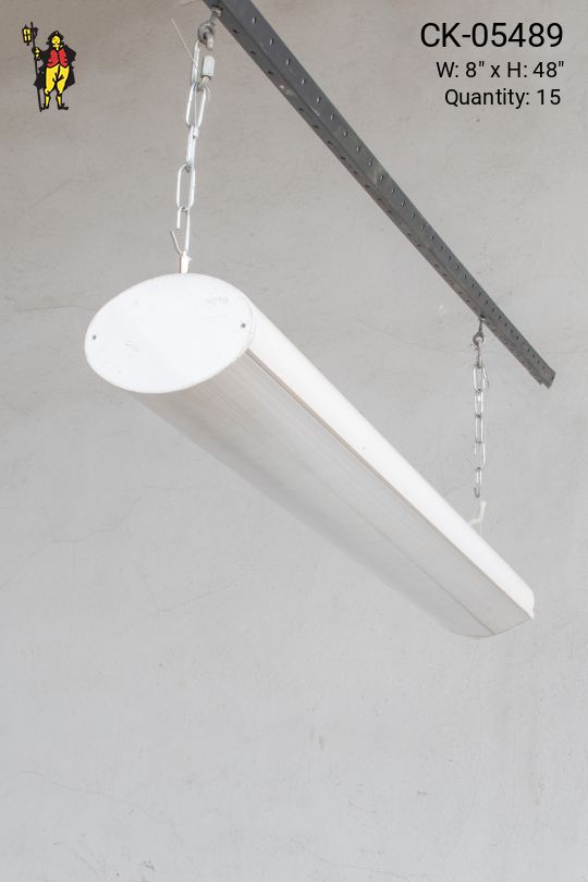 4' Contemporary Two Bulb w/Prismatic  Lens
