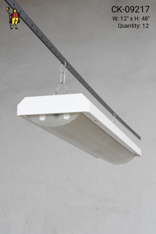 4' Curved Prismatic Lens Fluorescent Fixture (Available as Hanging or Flush Mount)