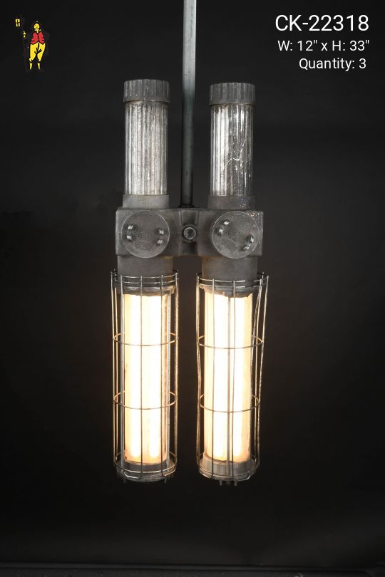 Metal Industrial Heavy Duty Explosion Proof Two Light Fluorescent Fixture (Available As Wall Mount or Hanging)