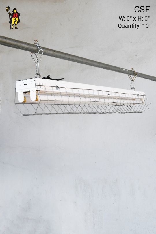 4' Two Bulb Strip Fluorescent w/Wire Cage (Available as Hanging or Flush Mount)