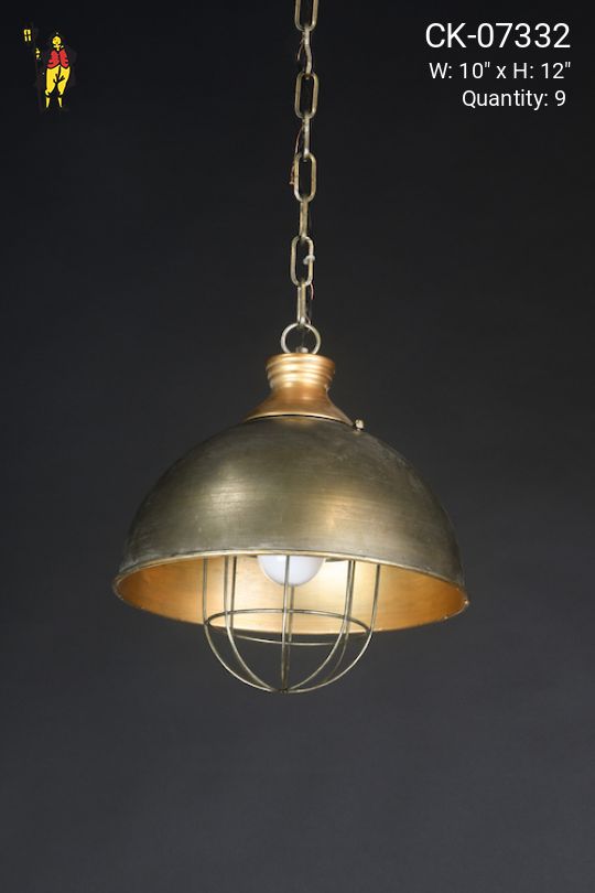Hanging Industrial Dome w/Cage