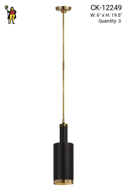 Black & Brass Cylindrical Pendant