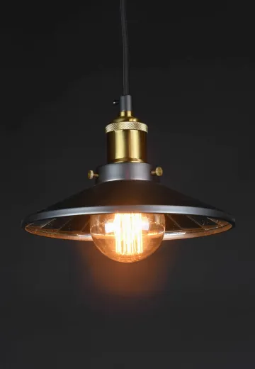 Mirrored Reflector Black Hanging Fixture