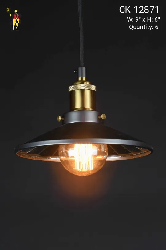 Mirrored Reflector Black Hanging Fixture