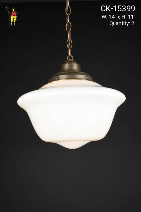 14" Hanging Schoolhouse Globe Hanging Pendant