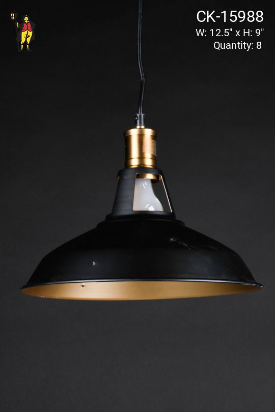 12.5" Black & Antique Brass Hanging RLM