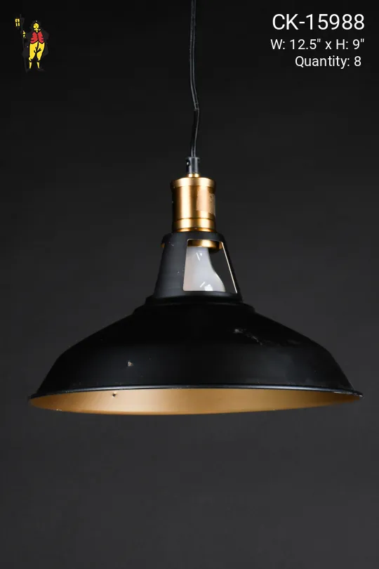 12.5" Black & Antique Brass Hanging RLM