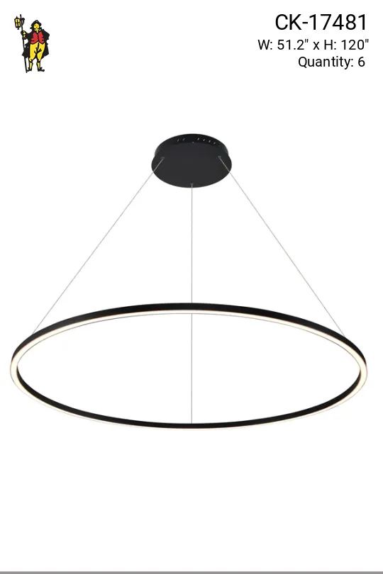 Black Circular Ring LED Hanging Fixture