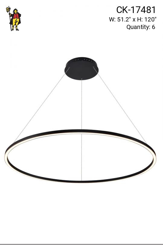 Black Circular Ring LED Hanging Fixture