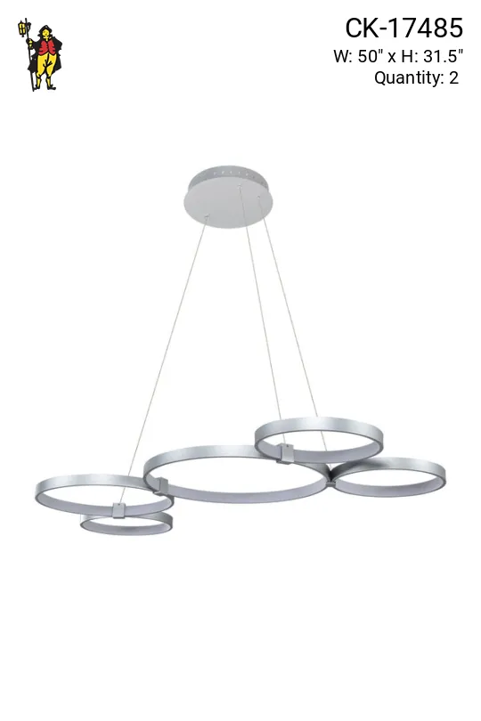 Aluminum Finished Multi-Circle Linear Hanging Fixture