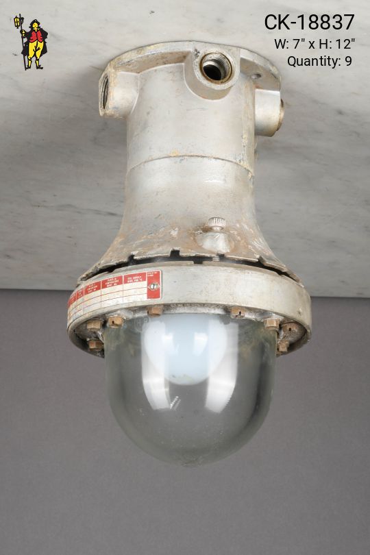 Industrial Explosion Proof Flush Mount Fixture