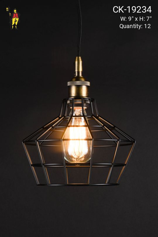 Black Caged Hanging Exposed Bulb Pendant