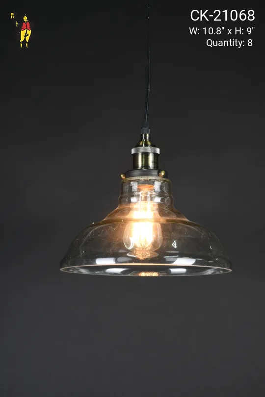 10" Clear Glass Hanging Pendant