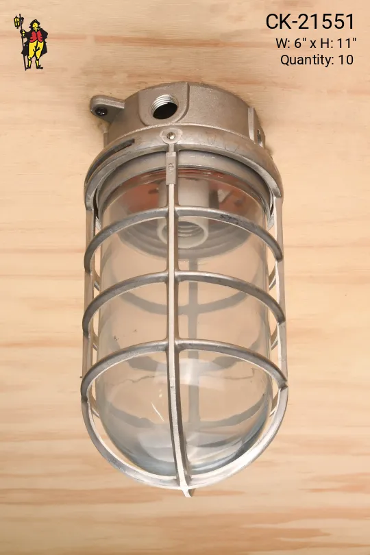 Metal Caged Vapor Proof Ceiling Mount Fixture