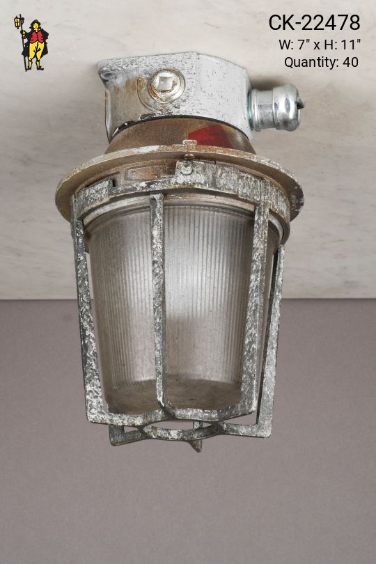 Distressed Caged Flush Mount Fixture (Varying Levels of Distress)