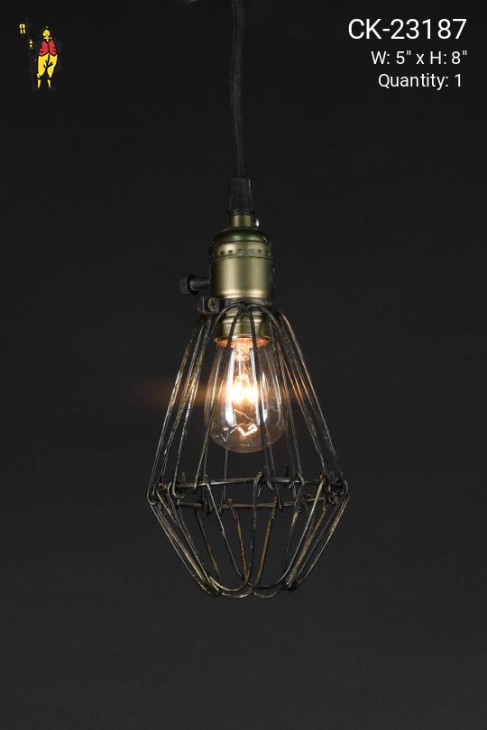Hanging Socket Exposed Bulb Pendant w/Black Cage