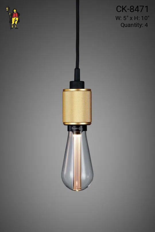 Heavy Metal/Brass LED Pendant Light
