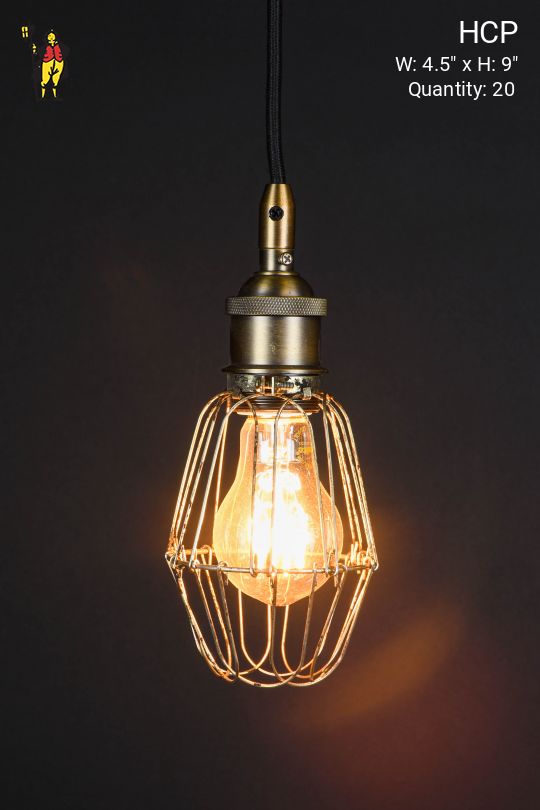 Hanging Caged Socket Pendant