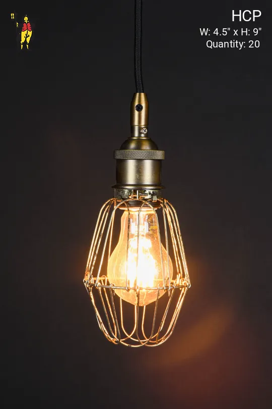 Hanging Caged Socket Pendant