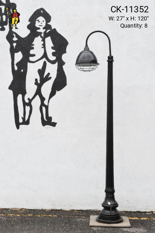 Curved Arm Caged Reflector Lamp Post