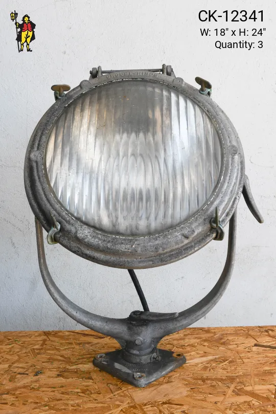 Large Industrial "Vengeance" Yolk Spot Light