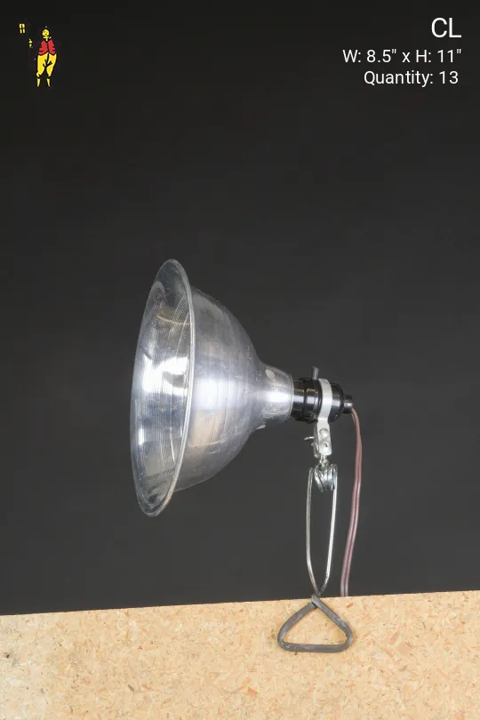Silver 8" Clip Lights