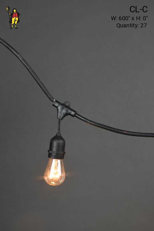 50' Black Strand Carnival Lights w/Clear Bulbs