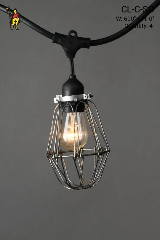 50' Black Carnival Light w/Silver Cages & Clear Bulb