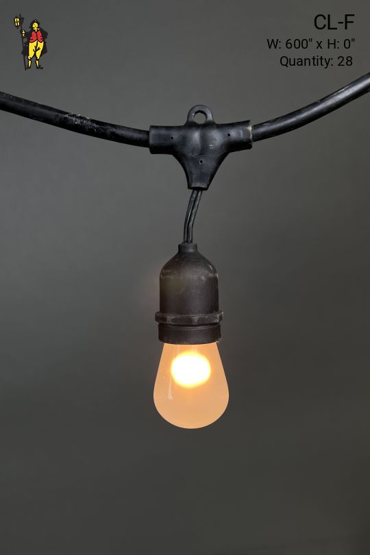 50' Black Strand Carnival Lights w/Frosted Bulbs
