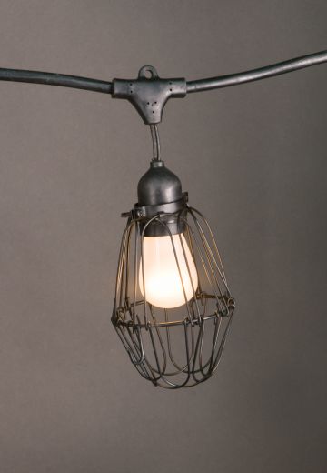 50' Black Carnival Light w/Black Metal Cages & Frosted Bulb