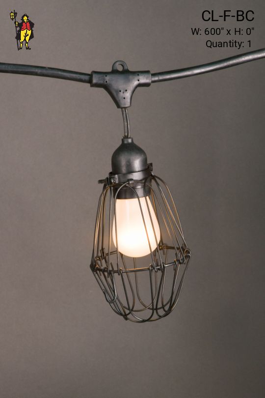 50' Black Carnival Light w/Black Metal Cages & Frosted Bulb