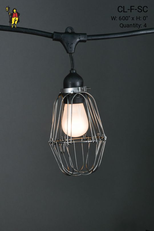 50' Black Carnival Light w/Silver Metal Cages & Frosted Bulb