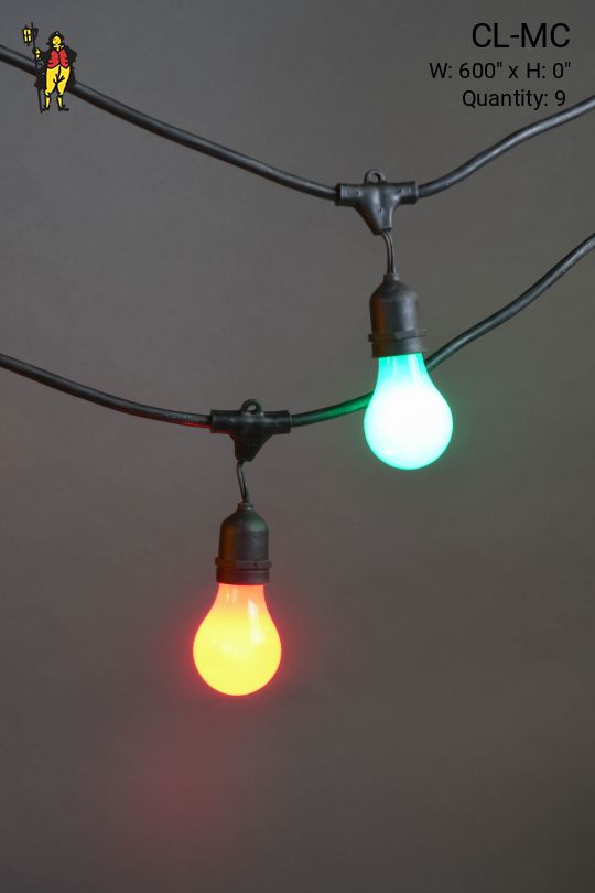 50' Black Strand Carnival Lights w/Multicolor Bulbs