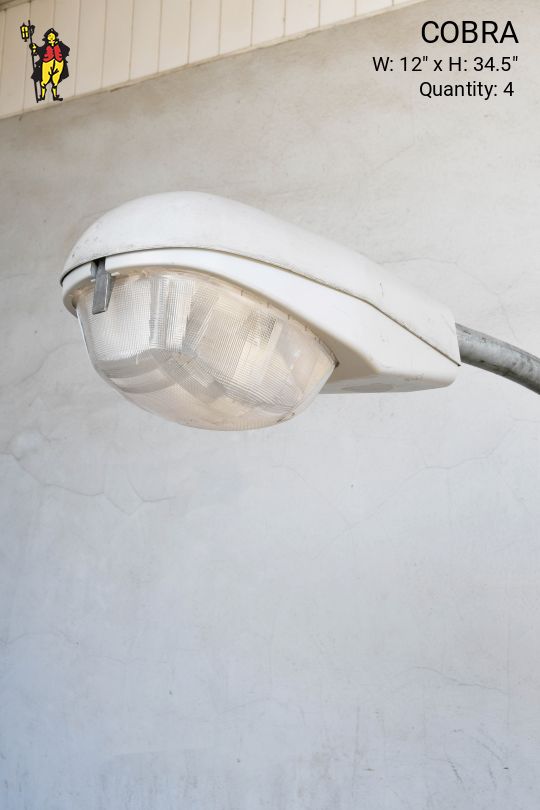 Cobra Head Street Light (Different Mounting)