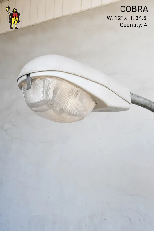 Cobra Head Street Light (Different Mounting)