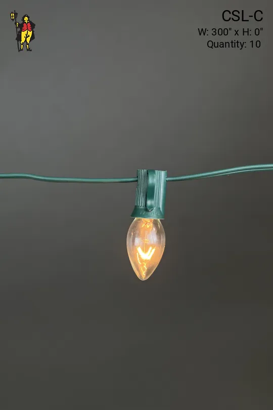 25' Green Stand Clear Bulb String Lights