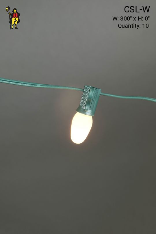 25' Green Stand White Bulb String Lights